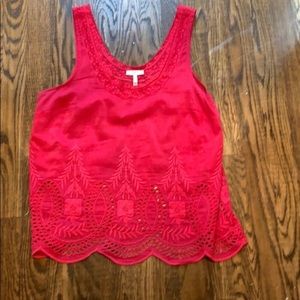 Bundle for arguetaodalis